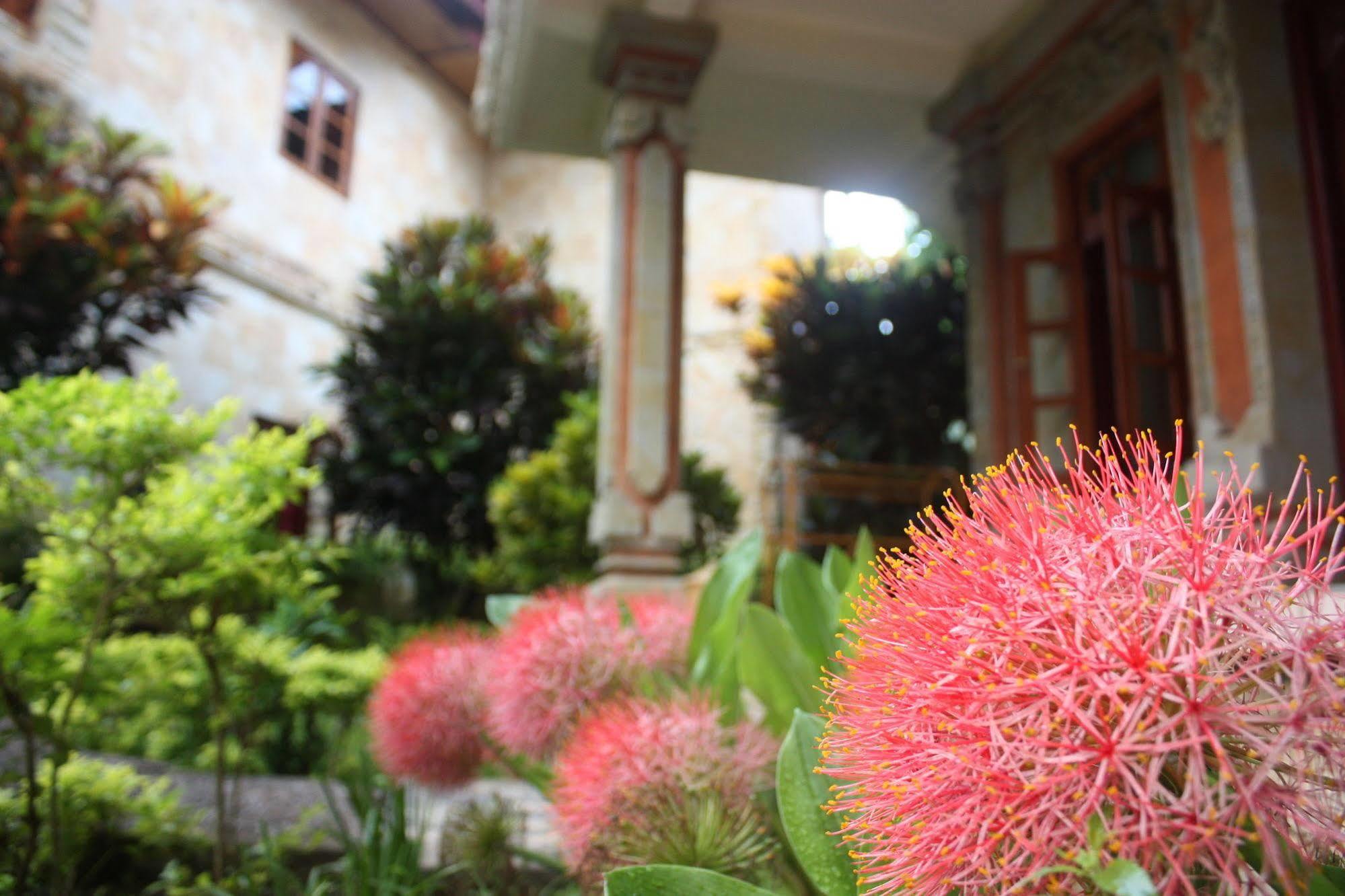 Rambutan Boutique Hotel Lovina Dış mekan fotoğraf